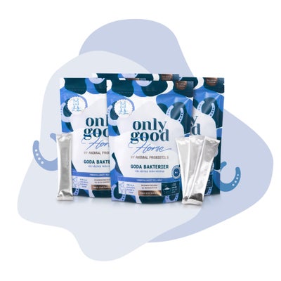 OnlyGood hevoselle tai koiralle